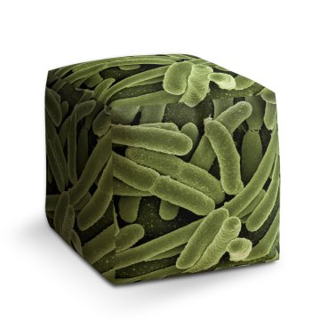 Taburet Bakterie: 40x40x40 cm