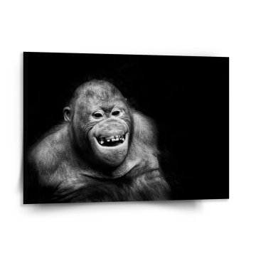 Obraz Orangután