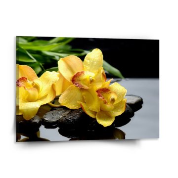 Obraz Žlté orchideje