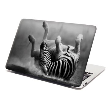 Samolepka na notebook Váľajúca sa zebra