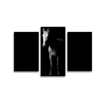 Obraz - 3-dílný Kůň ve stínu