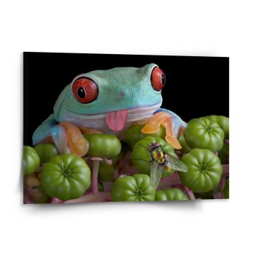 Obraz Veselá žaba