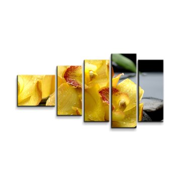 Obraz - 5-dílný Žluté orchideje