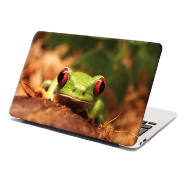 Samolepka na notebook Zelená žaba