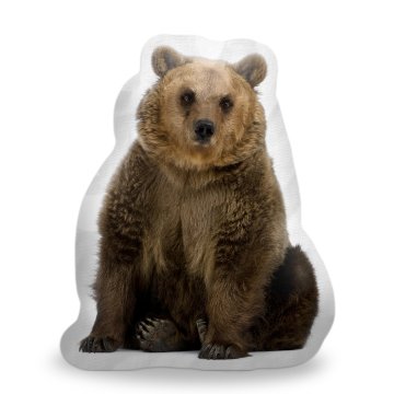 Polštář 3D Hnědý medvěd